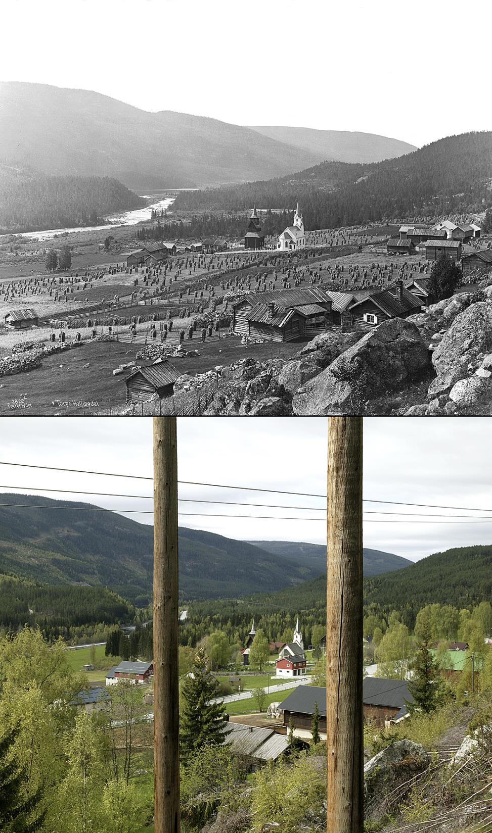 Våre eldste fotografier er fra en epoke hvor norsk jordbruk var på sitt mest omfattende