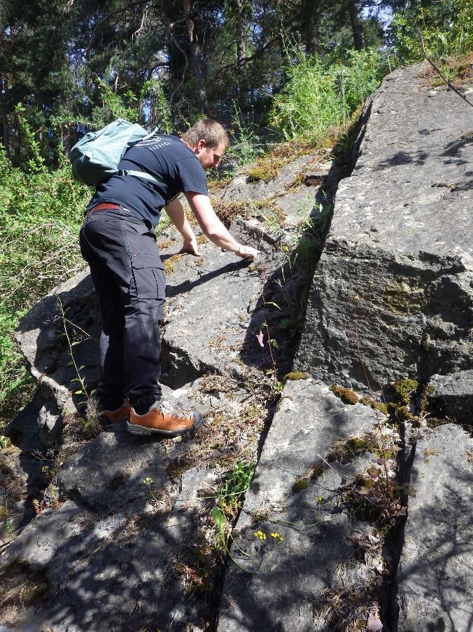 Det finnes også flere andre steinbrudd med kalkforekomster fra Oslofeltet på ulike steder rundt Mjøsa.