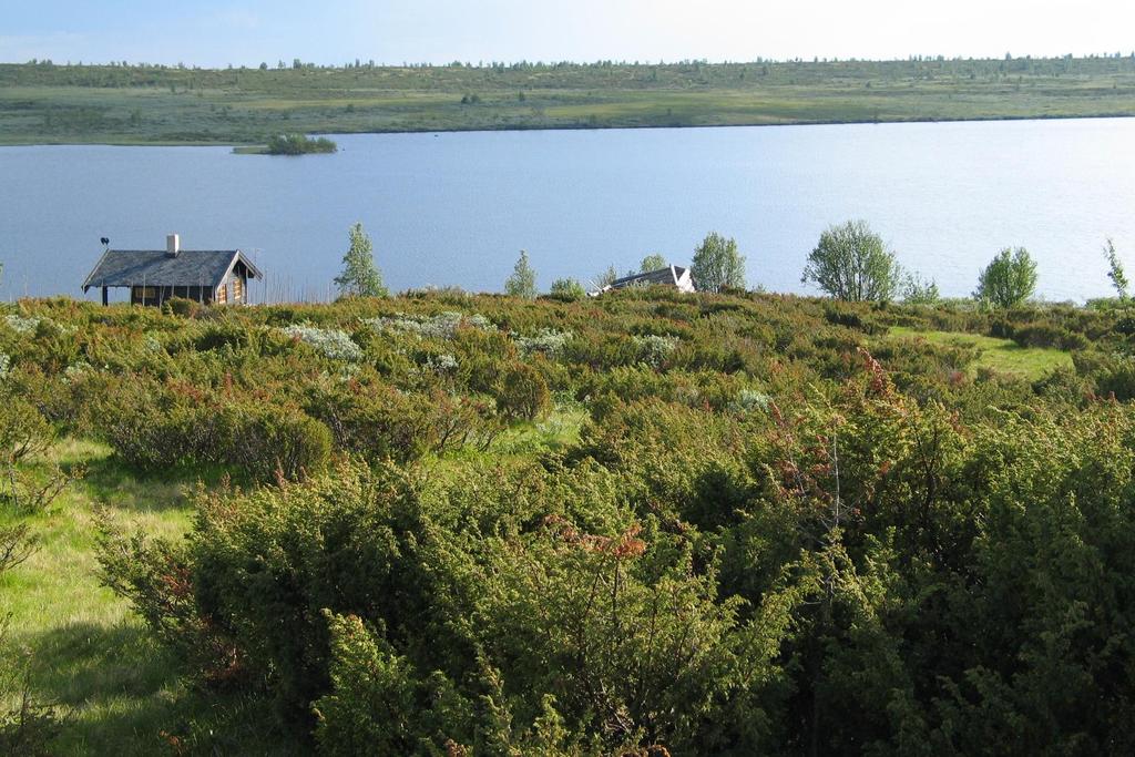 GAMLE HUS DA OG NÅ, 2.