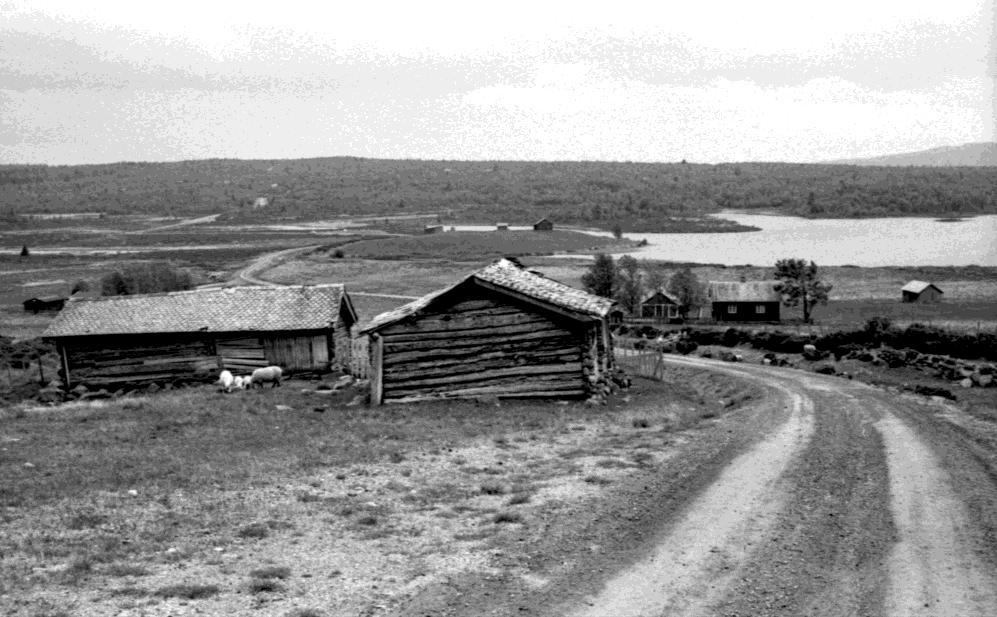 3 RESULTAT Markenstølen i stølsgranda Gauklia på "Stølsvidda".