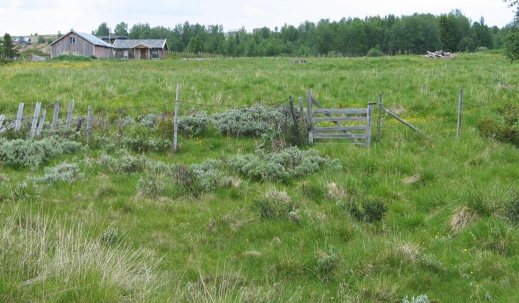 Bruket er nedlagt og huset var knapt i bruk ved registreringen i 1988.