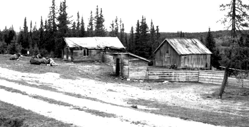 Det ene sto ennå på Moatrøen på Paradis i 2000, og var da svært forfallent (svarthvitt