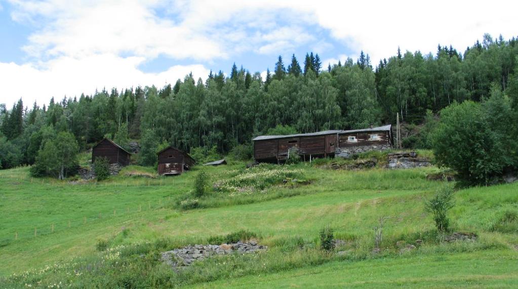 GAMLE HUS DA OG NÅ, 2. OMVERV 3.1.4 Tapsårsaker 0542 Nord-Aurdal 2.