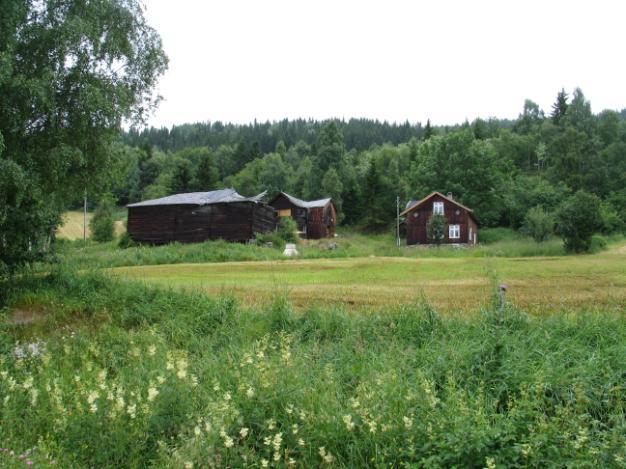 Særlig fjøs og låve begynner å bli merket av slitasje i tømmeret.