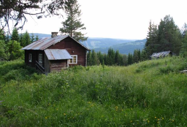 Det var i bruk som lager og uthus til en boligeiendom ved registreringen i 1979 og begynner nå å merkes av manglende bruk over tid.