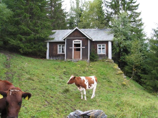 (0542-009-060) Brenningen var plass under Klossbøle og ligger i skogen opp for gården, helt i grensa mot Sør-Aurdal.