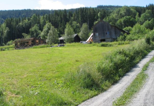 (0542-004-067) Bare stuebygningen står igjen av eldre bebyggelse i tunet etter den tidligere husmannsplassen under Svenes, som ble skilt ut som