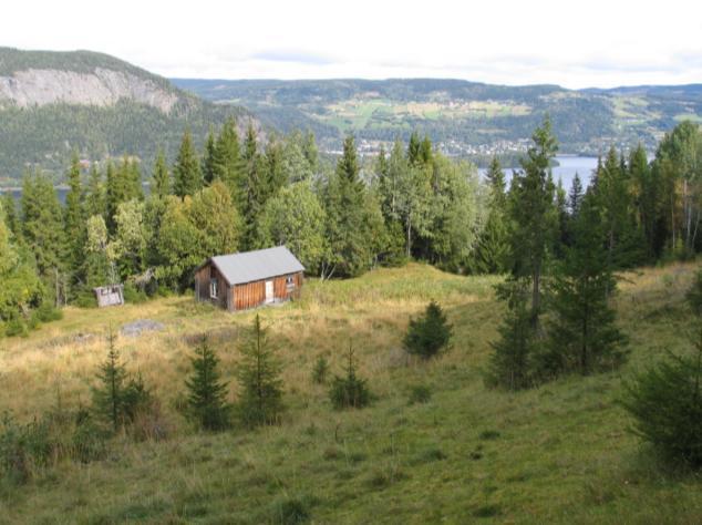 3 RESULTAT Loberg var husmannsplass under Lo og ligger høyt oppe i lia