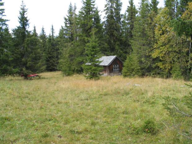 Den var i bruk som skogskoie ved registreringen i 1977, men begynner nå å