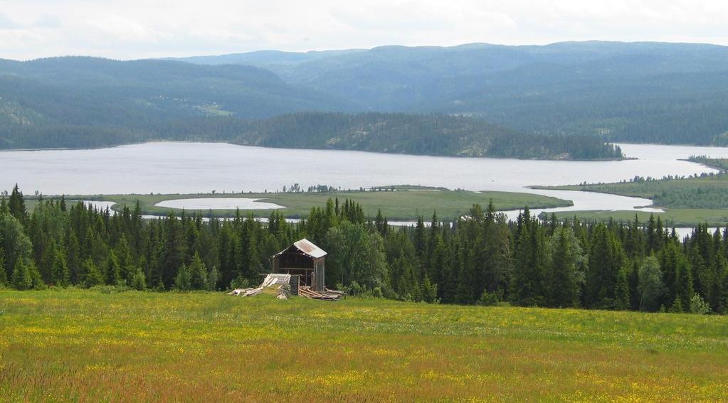 GAMLE HUS DA OG NÅ, 2. OMVERV 4.1.2 Tap tettbygd/spredtbygd 1450 1400 1350 1300 1250 1200 1150 1100 1050 1000 950 900 850 800 750 700 650 600 550 500 450 400 350 300 250 200 150 100 50 0 0542 N.