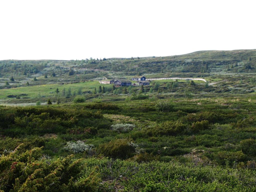 4 GEOGRAFISKE VARIASJONER Fjellstølen i Ulnes sameige var for lengst ute av bruk ved registreringen i 1983.