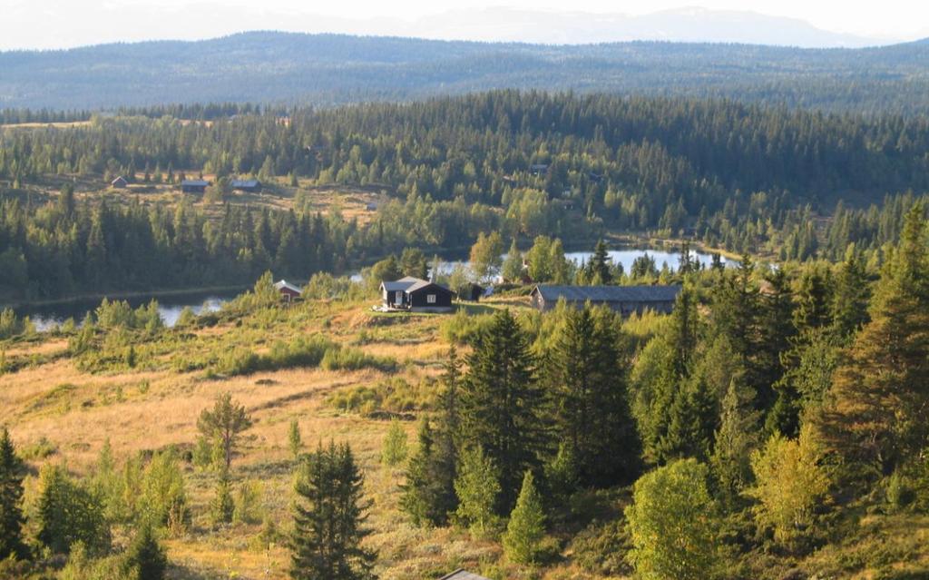 GAMLE HUS DA OG NÅ, 2. OMVERV Sørre Hokset-stølen på Revulen i Ulnes sameige har vært i drift med kyr ved alle registreringsfasene. Her er registrert sel og fjøs.