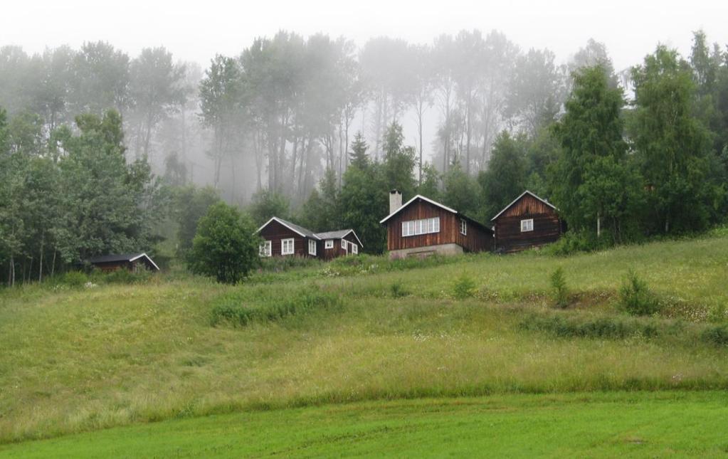 5 UTVIKLING OG TENDENSER Garlihalle, husmannsplass i lia over Fagernes, holdes i hevd som feriested.