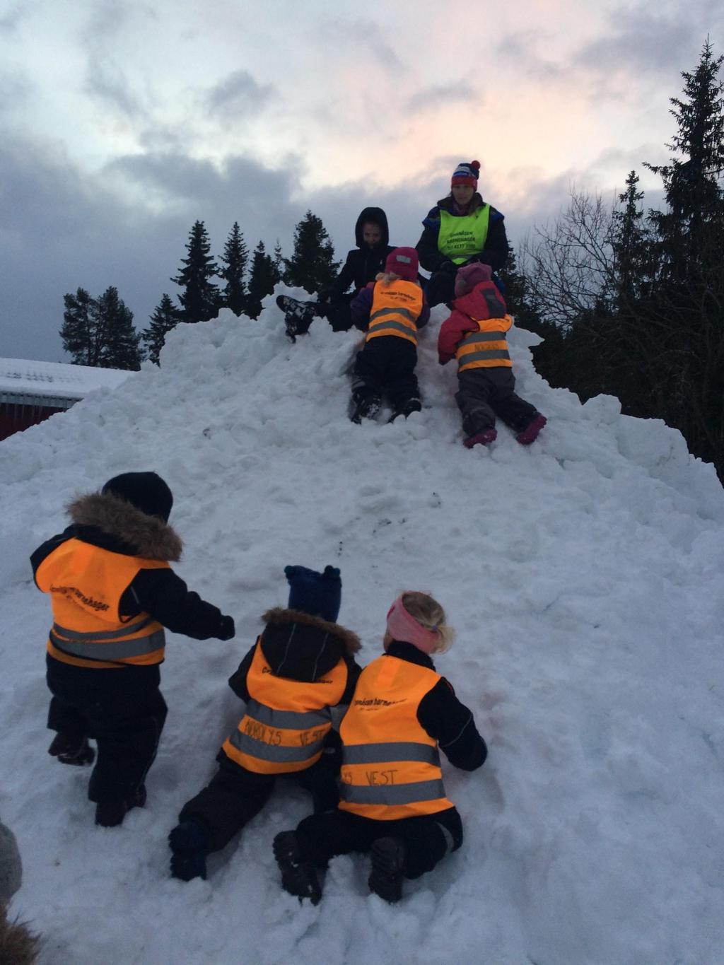 Turglimt fra Rådyrgjengen Januar har bidratt med både snø og kuldegrader. Vi har vært mye ute og lekt når det ikke er for kaldt.