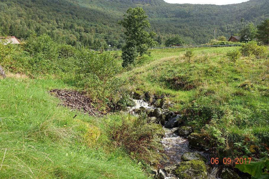 4.1 Elva gjennom planområdet Det er når elva kjem gjennom kulverten under fylkesveg 92 den faktisk går gjennom planområdet.