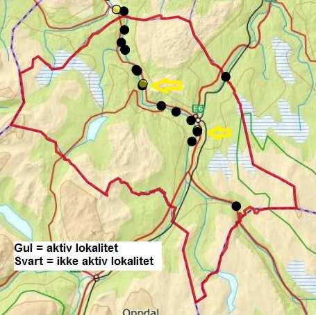 Rennebu I Rennebu ble det registrert aktivitet på to lokaliteter høsten 2017 med estimert antall på 5 dyr. Ved lokaliteten Brattset var det kun observert noen få ferske gnag.