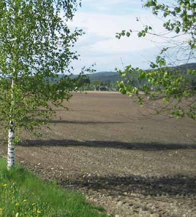 Fra 2010 er fylkes - kommunene landets største vei eier 23 Utbyggingen av stamveinettet er spesielt viktig for å utvikle Oslo- og Akershusregionen som en attraktiv og konkurransedyktig region.