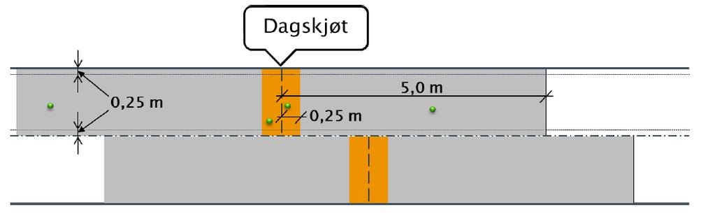 Dagskjøt Densitetsmålinger med