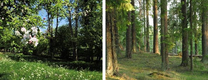 nasjonalpark, omkring 20 minutter fra blant annet Örebro.