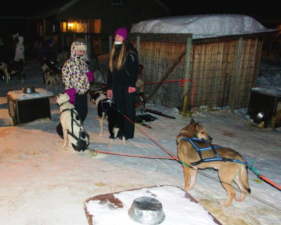 Hundeslede, nordlys og tøffe partier i NM for jenter Mellom spennende sjakkpartier fikk jentene prøve å kjøre hundeslede i Alta.