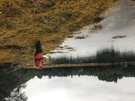 Figur 4. Tang i fjæresoner, på grunt vann og i tareskogen på Mørekysten. Foto: NIVA. Utfordringer med kartlegging i de dypeste områdene - Rødalgebunn er en type som det kan være vanskelig å kartlegge.
