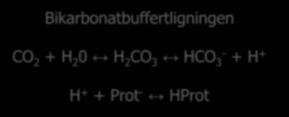 3a. ph Bestemmes av frie [H + ] i blod Bikarbonatbuffertligningen CO 2 + H 2 O H 2 CO 3 H + + HCO - 3 PROTEIN CO H H + + PROTEIN - 2 + H 2 0 H 2