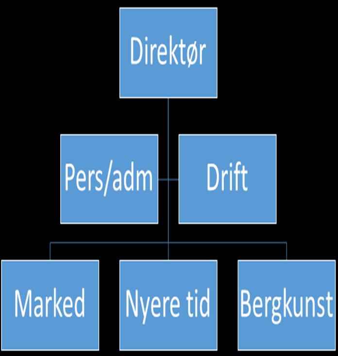 Organisasjon og eierskap Interkommunalt