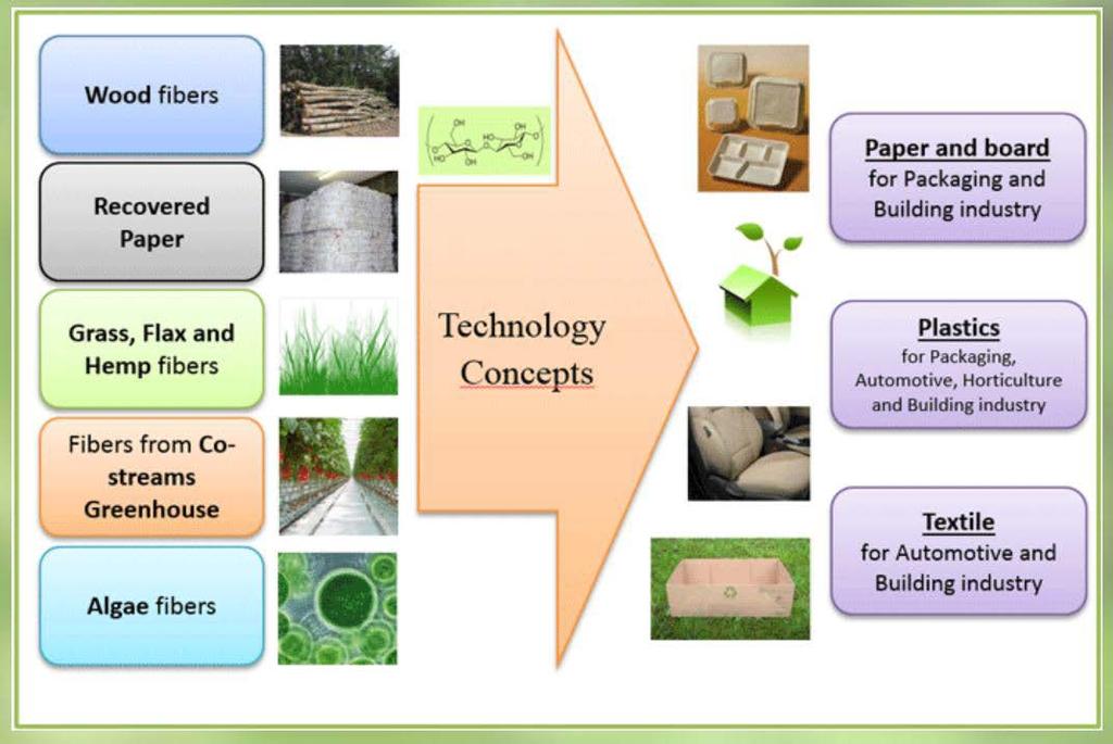 ENABLING - Enhance New Approaches in Bio-based Local