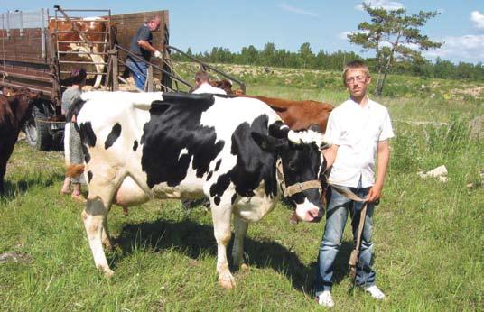 See üritus on loomaomanike jaoks tähtis eelkõige kokkusaamisena, kus vahetatakse kogemusi, vaadatakse kauneimaid loomi, saadakse ülevaade aretustööst.