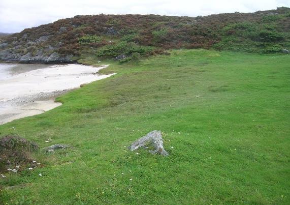 Figur 7. Sauebeita strandeng og strandnær naturbeitemark med gradvise overganger, omgitt av kystlynghei, Hordaland, Bømlo. Foto: John Bjarne Jordal. 2.1.3.