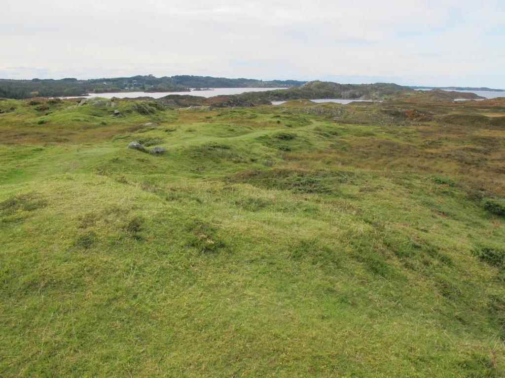 Figur 10. Mosaikk mellom kystlynghei og naturbeitemark er vanlig langs Vestlandskysten.