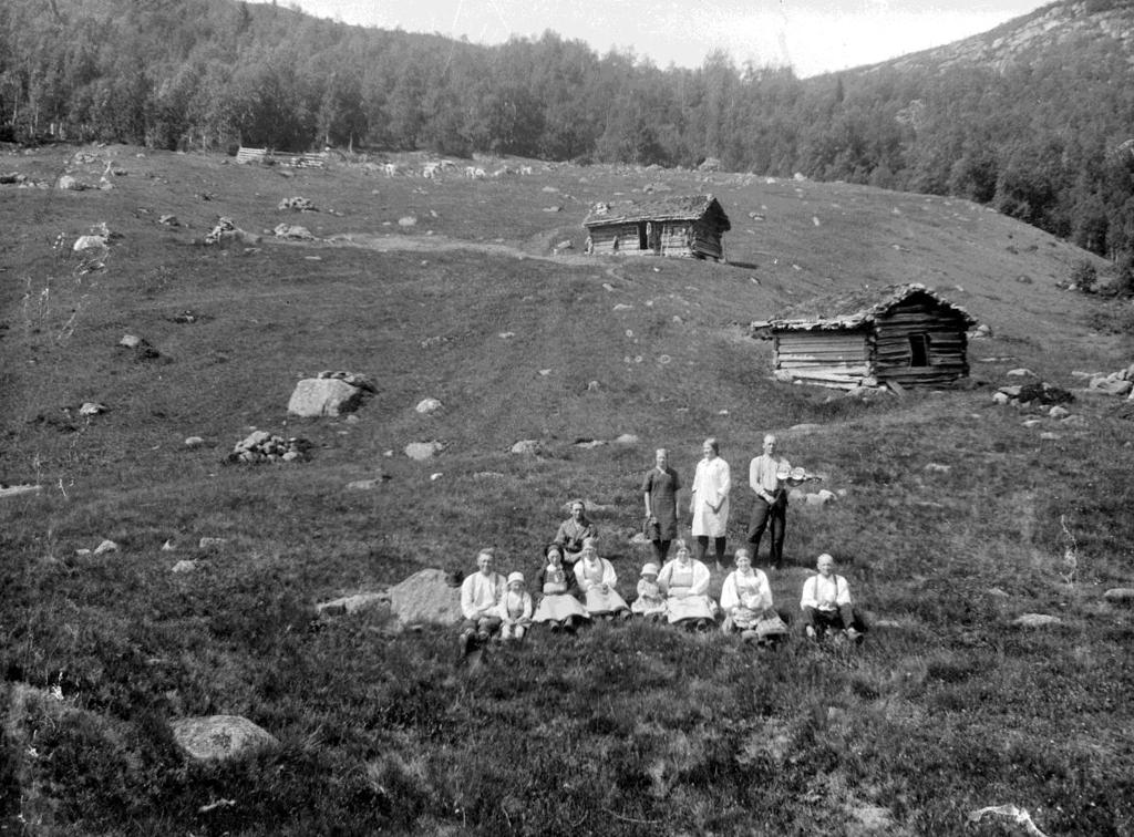 Figur 12. Naturbeitemark finnes på- og i tilknytning til støler og setrer både i skogsområder og på fjellet. Her fra Heddes Myklestøyl i Valle i Setesdal. Bildet er tatt av Knut Jonson Heddi ca. 1928.