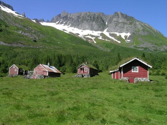 totale klimaeffekten av semi-naturlig grasmark sammenlignet med skog og andre naturtyper, og om den øker eller minker hvis lysåpne naturbeitemarker erstattes av tett skog.