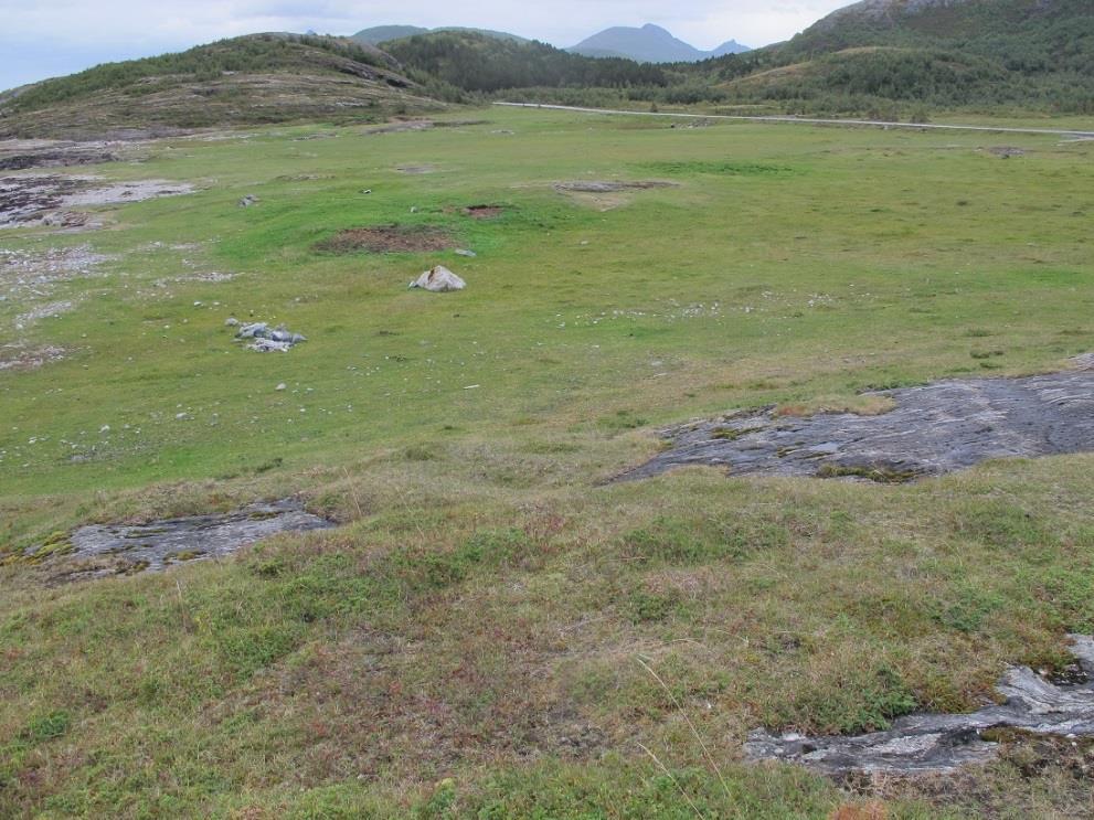 Akershus Aust-Agder Buskerud Finnmark Hedmark Hordaland Møre og Romsdal Nordland Nord-Trøndelag Oppland Oslo Østfold Rogaland Sogn og Fjordane Sør-Trøndelag Telemark Troms Vest-Agder Vestfold Antall