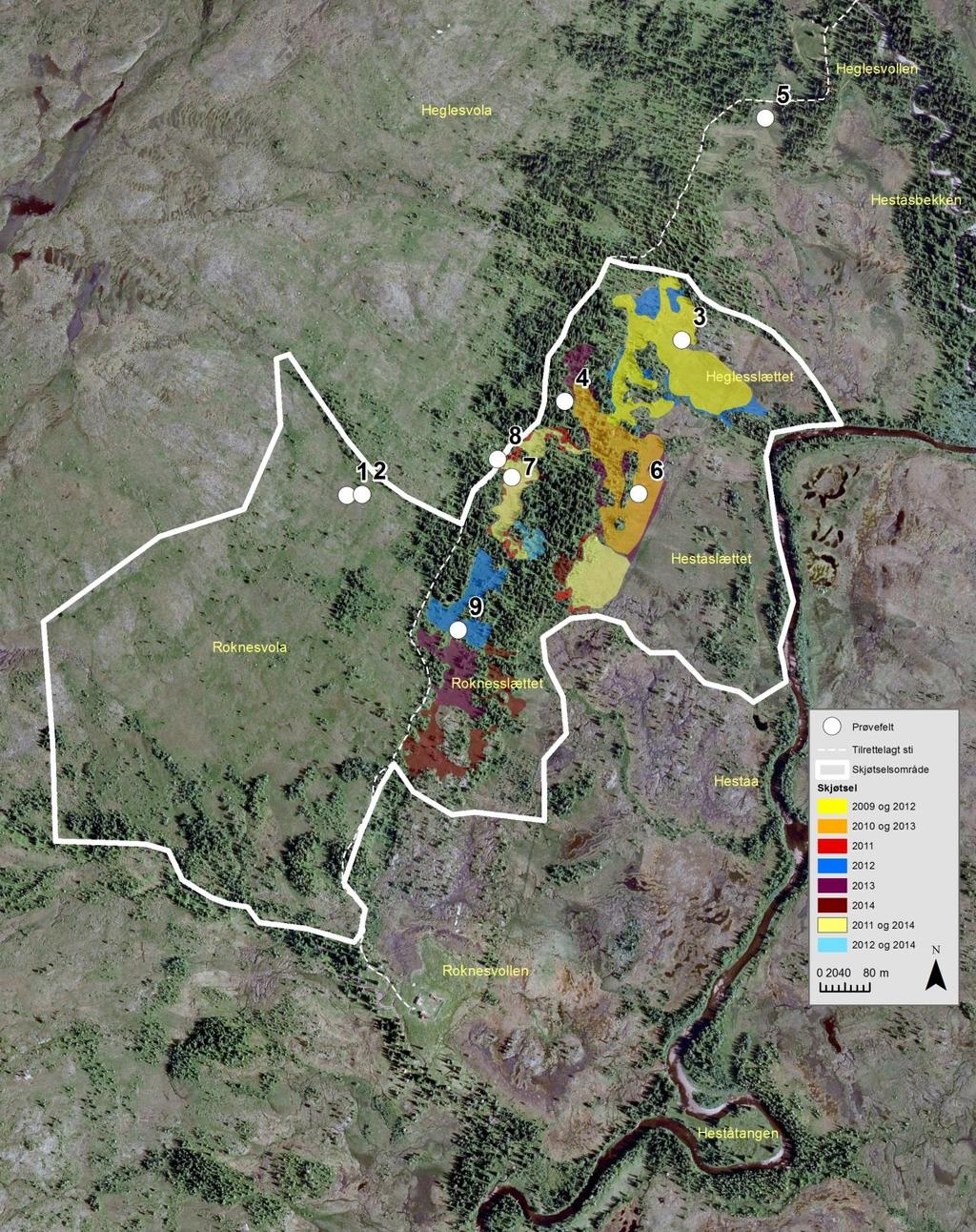 Figur 2. Kart (ortofoto) over deler av Øvre Forra naturreservat med avgrensing av skjøtselsområdet, skjøtselsareal 2009-