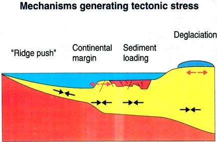 Bergspenningers opprinnelse Geologiske betingede bergspenninger Tektoniske spenninger Spenninger som skyldes platetektonikk