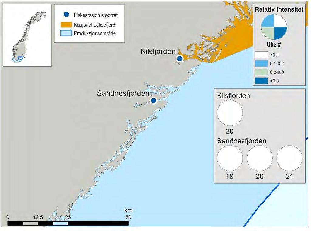 5.1 Sørlandet (PO 1, Svenskegrensen - Jæren) Sandnesfjorden i Aust-Agder ble valgt som fast stasjon i produksjonsområdet på Sørlandet, og har tidligere vært undersøkt gjennom flere år i