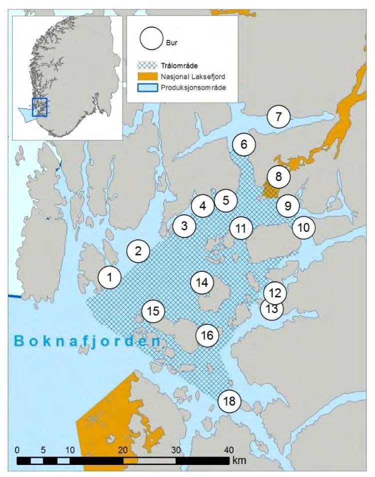 gjennomsnitt hadde 3 lus hver. To prosent av disse hadde mer enn 10 lus. Fangstene av laksesmolt var avtagende mot slutten av perioden (figur 10). Figur 9.