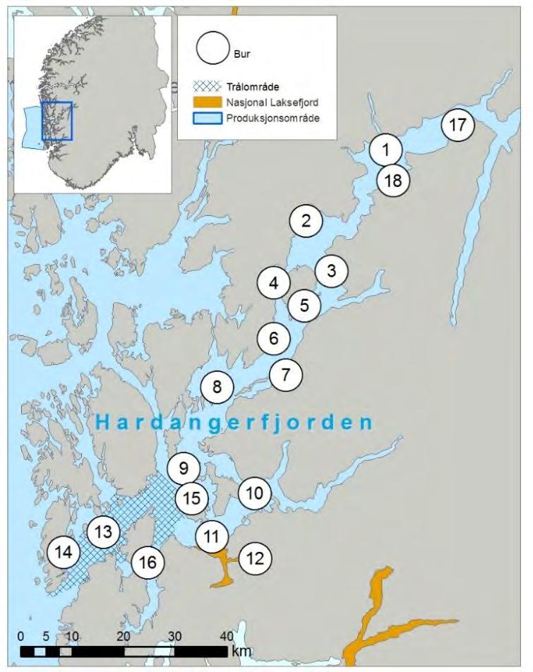 Figur 14. Område for tråling av postsmolt laks og plassering av vaktbur i Hardanger. Figur15. Antall lakselus (a) og relativt antall lakselus (lus/vekt) på trålfanget laksesmolt i Hardangerfjorden.