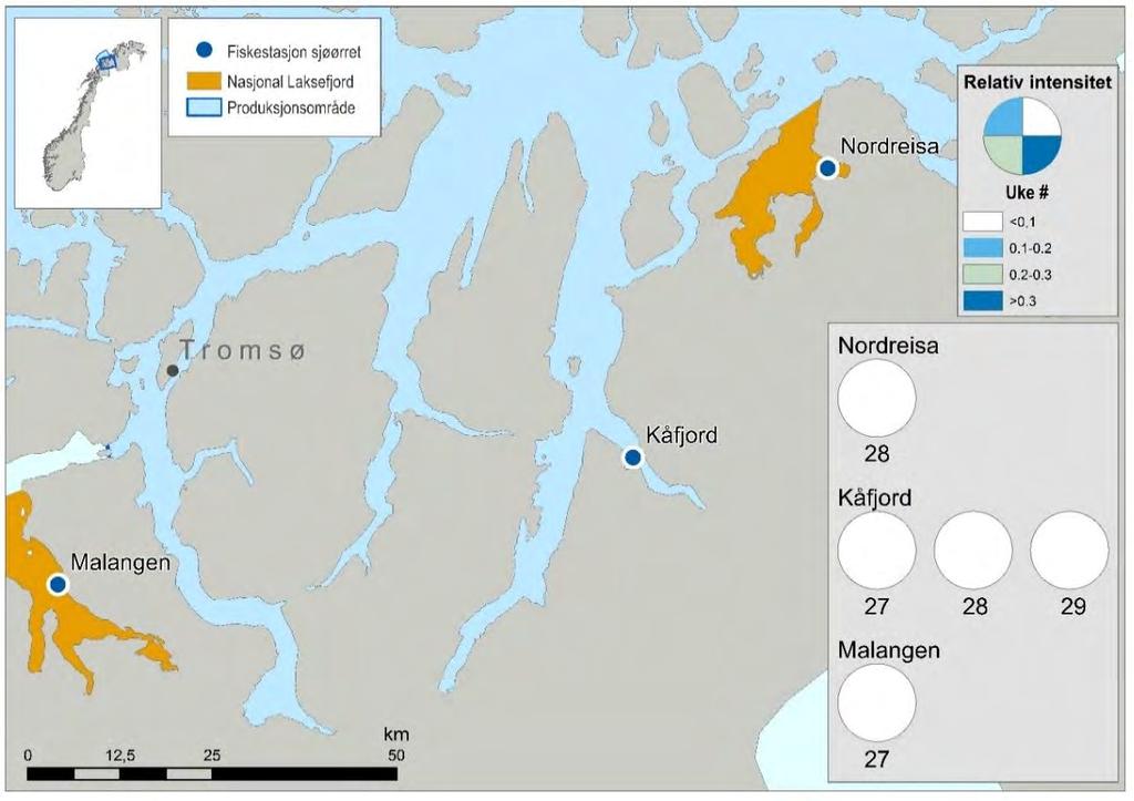 Figur 44. Kart over stasjoner for ruse og garnfangst av sjøørret i Troms nord. Sektordiagrammet illustrerer relativ mengde lus på sjøørret.