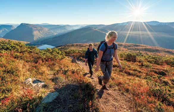 Velkommen til Sognefjorden - heile året!