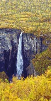 Der Sognefjorden går