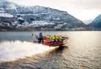 Vegard Aasen / VERI Media Om hausten kler Sognefjordområdet seg i vakre haustfargar, først i fjellområda, så ved fjorden. Dette er den beste tida for fjellturar i området.