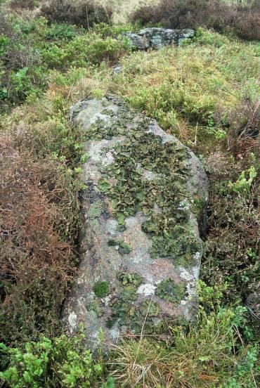 Kammeret er orientert nordnordvest-sørsørøst. Foto: Barbro I.