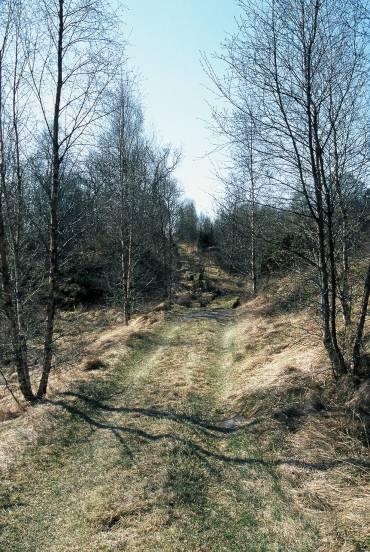 grunne, ujevne og vide til dype og regelmessige. Muligens kan de uttrykke et behov for å sette eget preg på handlingen og utformingen.