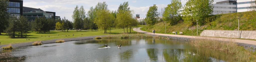 Fornebu kilde: Bærum kommune KOMMUNENS OVERORDNEDE MÅL TILPASSES TRE-TRINNSTRATEGIEN FOR OVERVANN 1. Når det regner litt, skal vi bruke grønne løsninger på terreng, bygg og i infrastruktur.