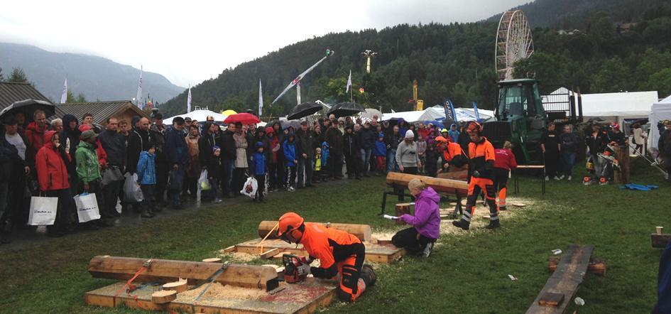 Telemark Skogselskap, AT Skog, NJFF Telemark, Søve VGS og Fylkesmannen Telemark arrangerte stand på den tradisjonelle