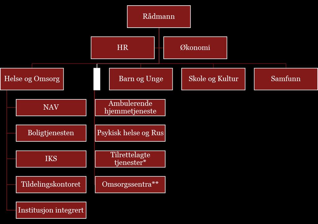 Figur 13: Organisasjonskart, Helse og Omsorg, Ringerike kommune (enhetsnivå er kun vist for den aktuelle sektoren).