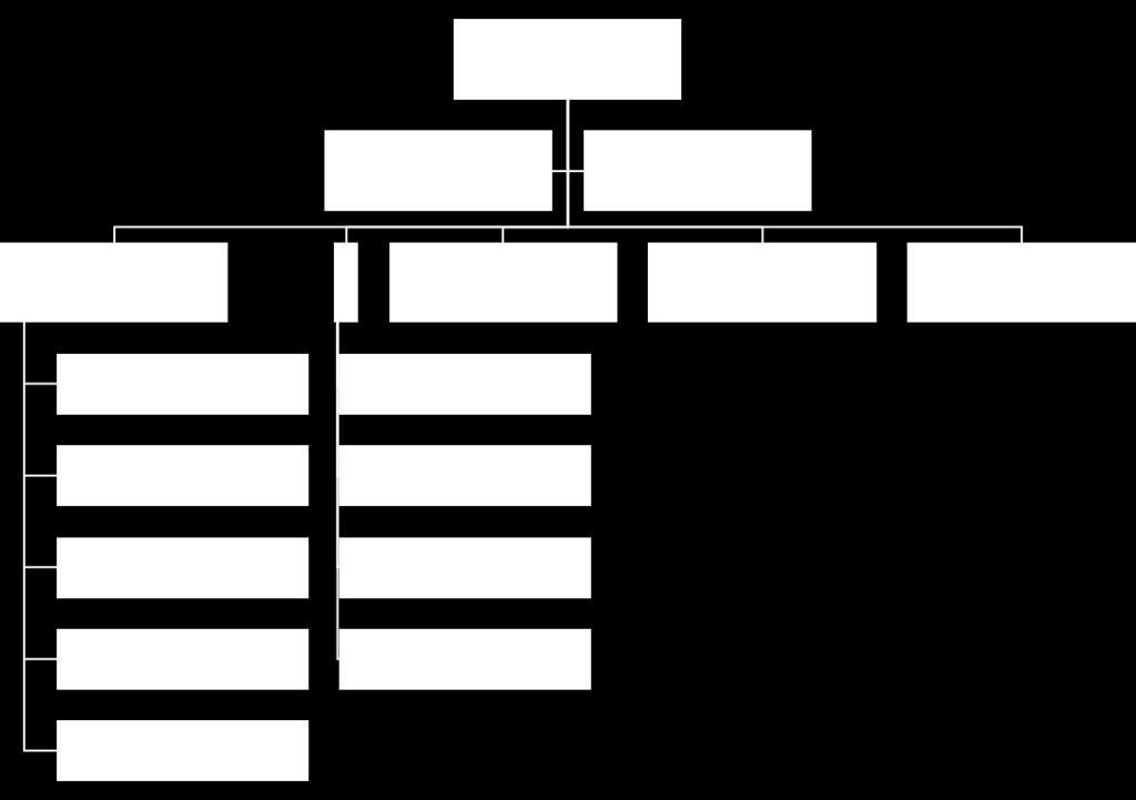 casekommune for pleie og omsorg. Vi gir derfor en kort beskrivelse av hvordan Ringerike kommune har organisert tjenestene i denne sektoren.