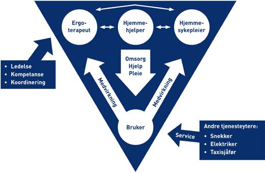 BPA snur tradisjonelle tanker på hodet Den tradisjonelle modellen: Fagprofesjonene utøver ledelsen og koordineringen av assistansen. Den profesjonelle og «sterke» hjelper den «svake».